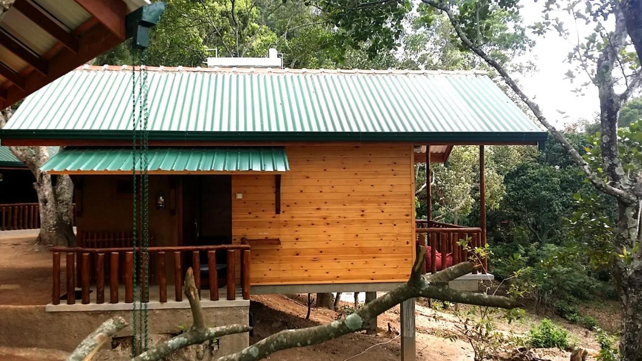 Saffron Eco Cottage Ella Exteriér fotografie