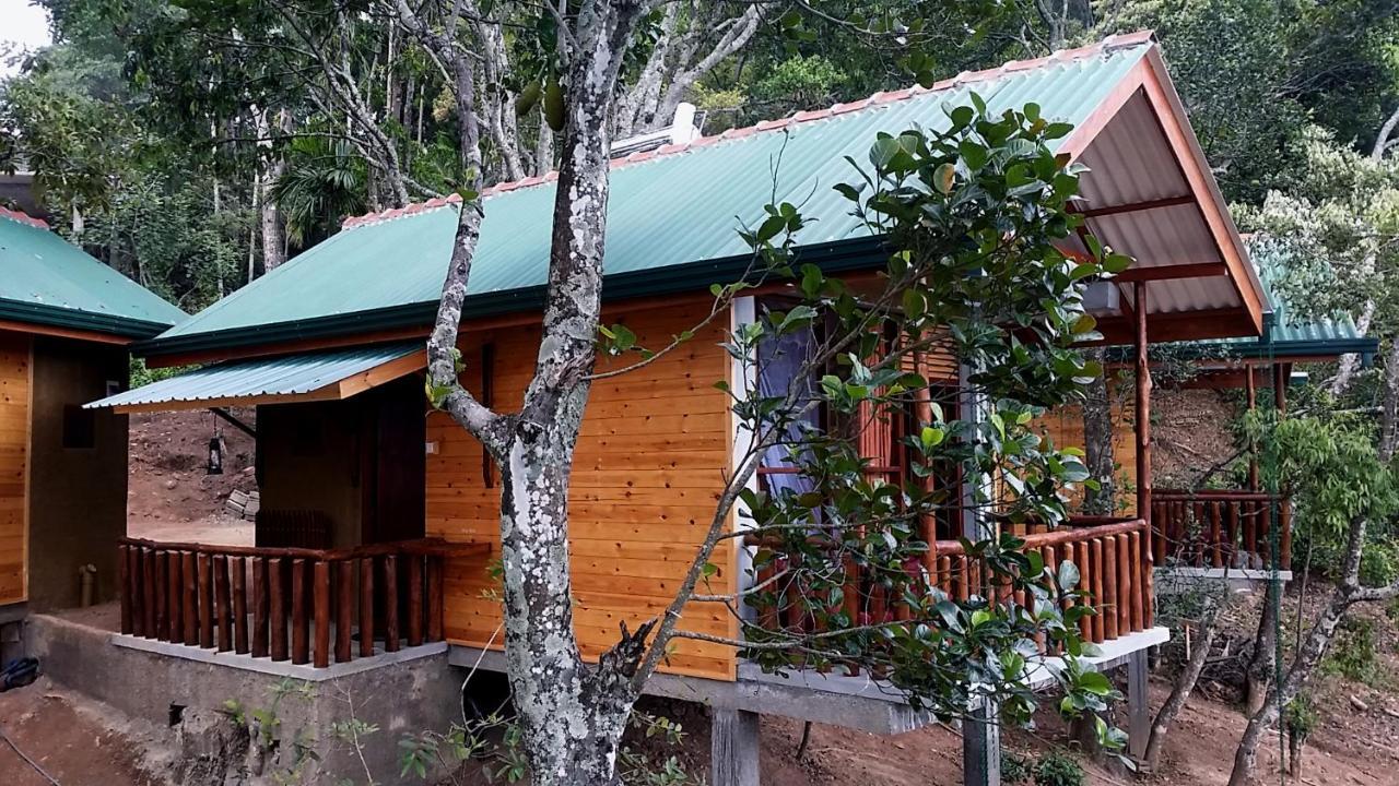 Saffron Eco Cottage Ella Exteriér fotografie